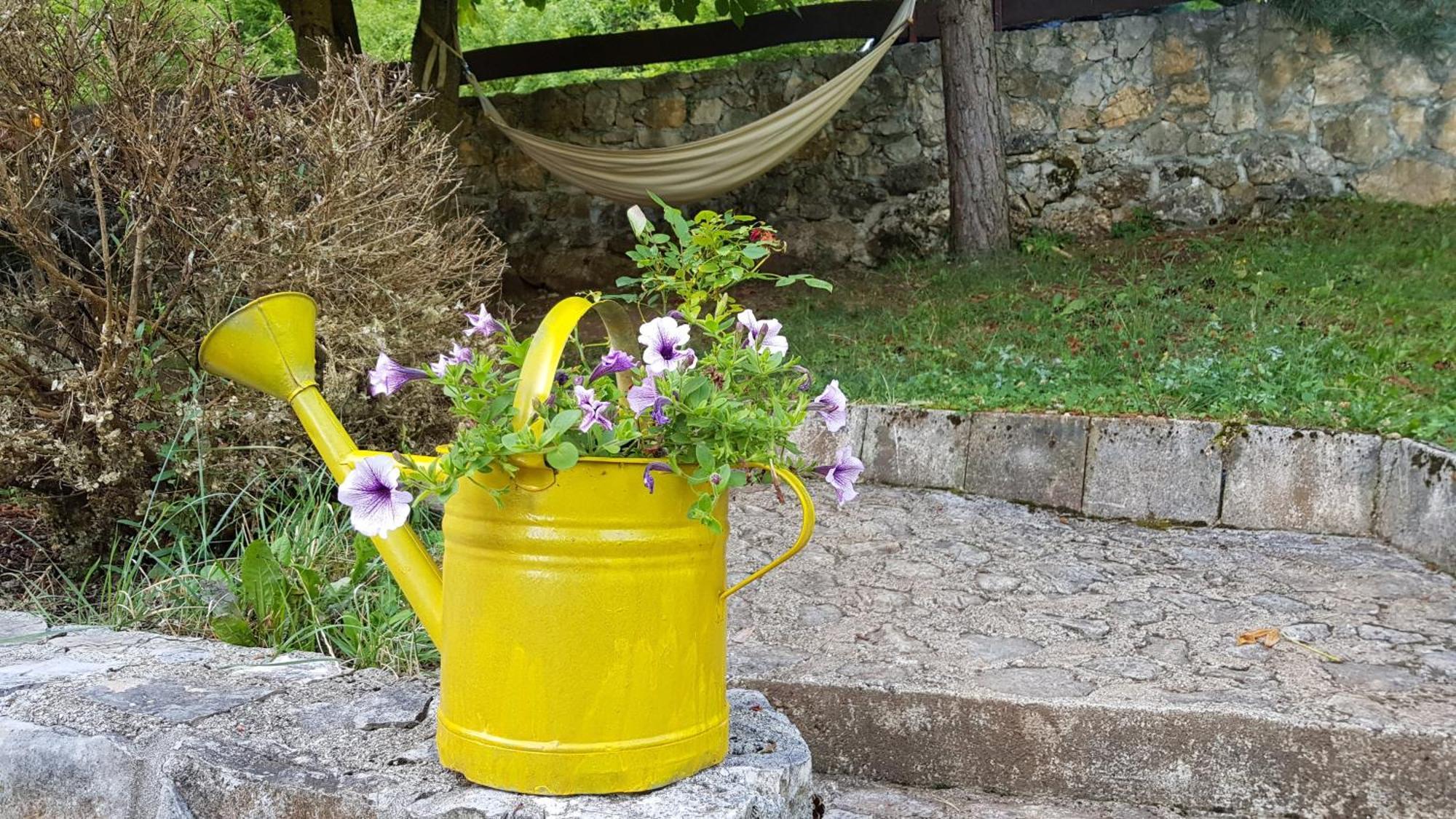 Guest House - Stari Javor B&B Prozor Zewnętrze zdjęcie