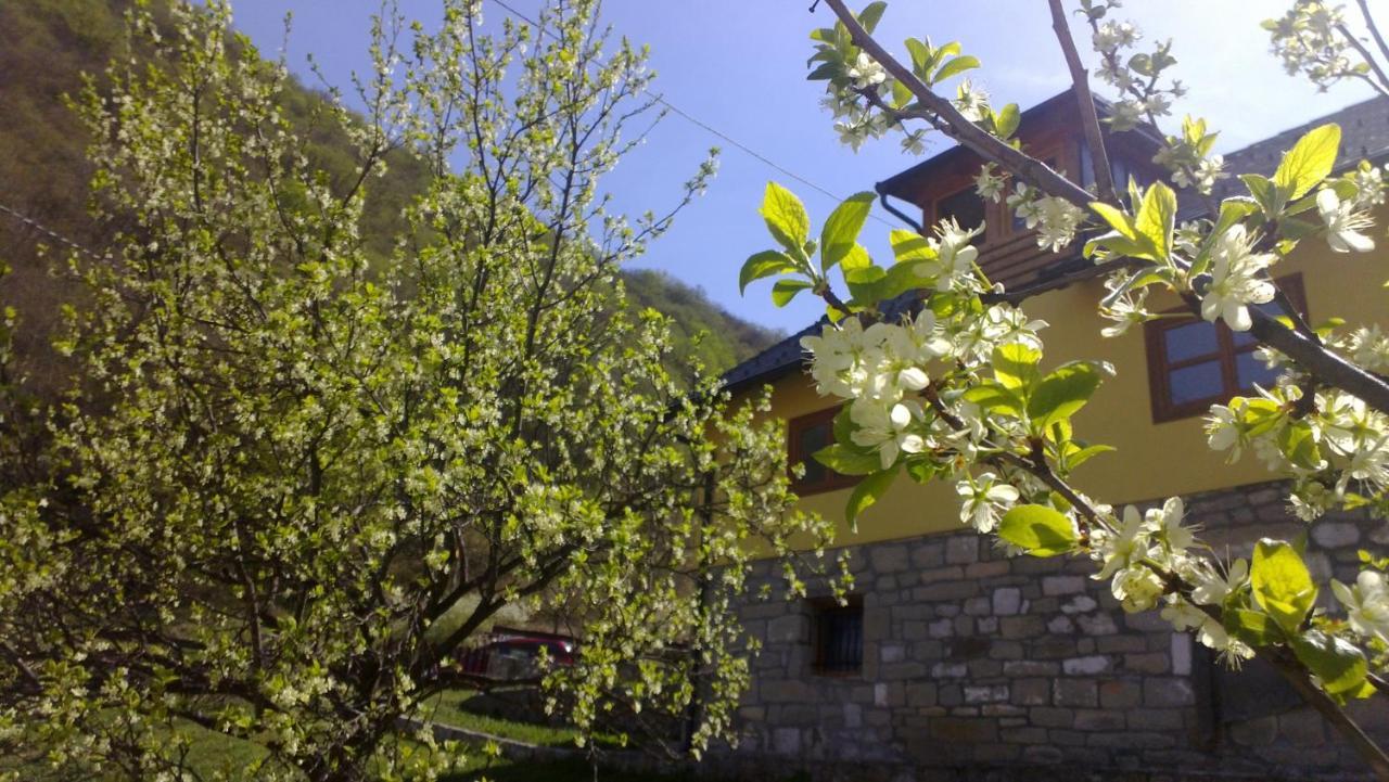 Guest House - Stari Javor B&B Prozor Zewnętrze zdjęcie